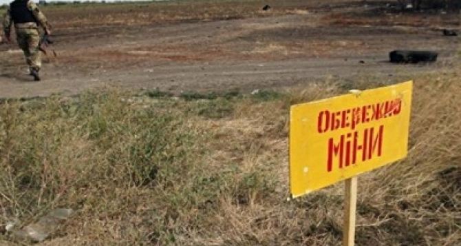 Из-за мин и артиллерийских воронок на Донбассе может исчезнуть сельское хозяйство