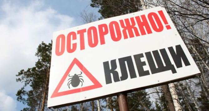 Осторожно! Клещи! Жителей Луганской области призывают быть внимательными