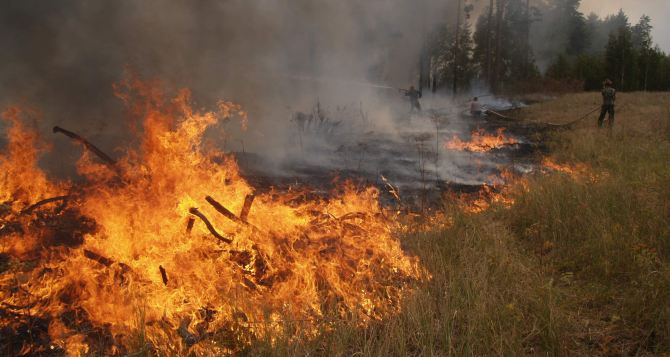В Донецкой области объявлен наивысший уровень пожароопасности