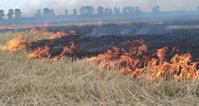 В самопровозглашенной ДНР объявлен 5 класс пожароопасности