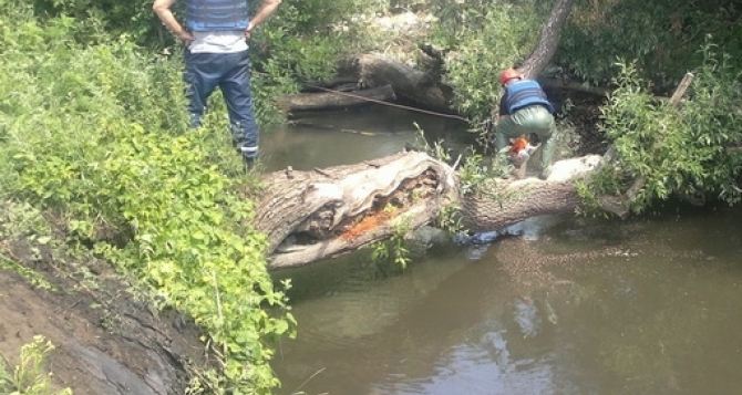 В Луганске расчищают заторы на реке Лугань