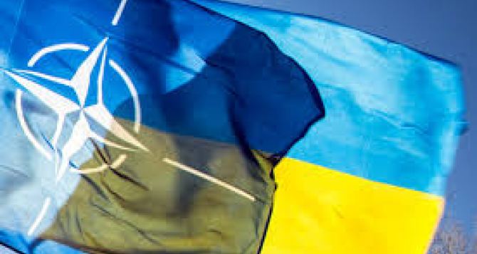 Украина не будет пока подавать заявку в НАТО. — Порошенко