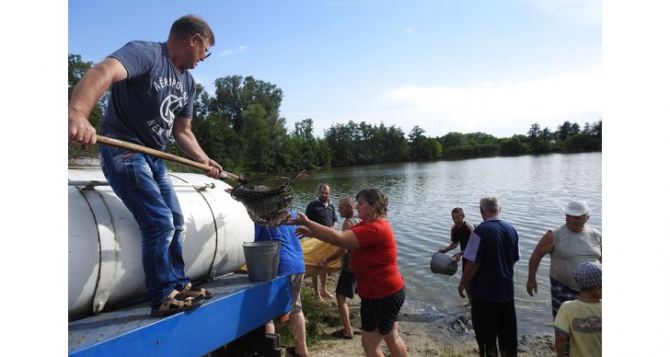 Норвегия передала жителям Луганской области 1,5 тонны рыбы для разведения в местных прудах