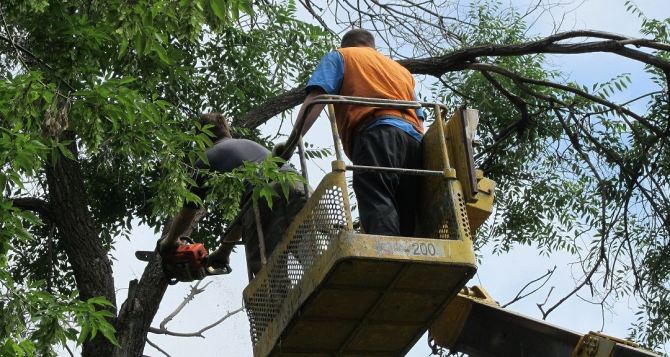 Луганские спасатели на выходных 58 раз выезжали для ликвидации последствий урагана