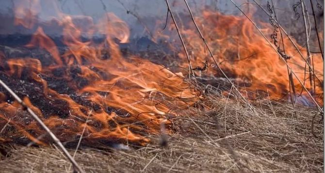 В Луганской области жители села сами пытались потушить пожар на минном поле