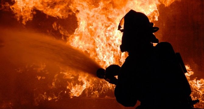 Более 100 домов, 500 га леса и степи уничтожено пожаром в самопровозглашенной ЛНР за сутки
