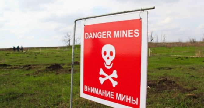Более пяти тысяч человек пострадали, подорвавшись на минах на Донбассе