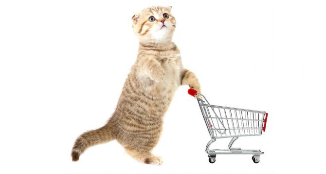 Товары для кошек в Интернет-зоомагазине «Зоотовары.com»