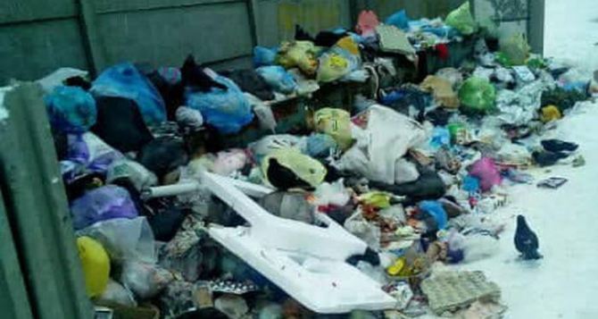 В Лисичанске в 2 раза намерены поднять тарифы на вывоз мусора
