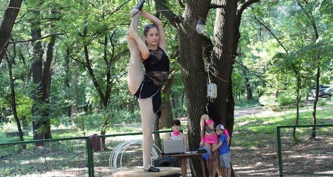 В Станице Луганской устроили цирк