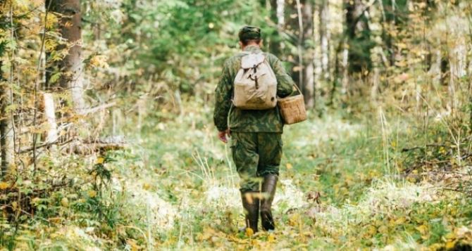 На Луганщине в лесу нашли тело пенсионерки, которая пропала два месяца назад