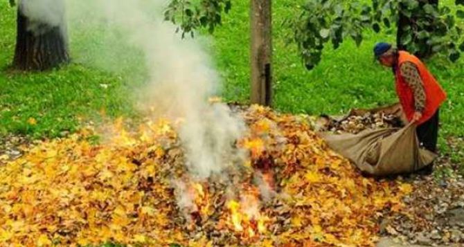 Луганчанам напомнили о запрете на сжигание опавших листьев и сухой травы