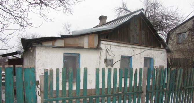 Гусь погиб от пули в районе Станицы Луганской. Хозяину повезло больше