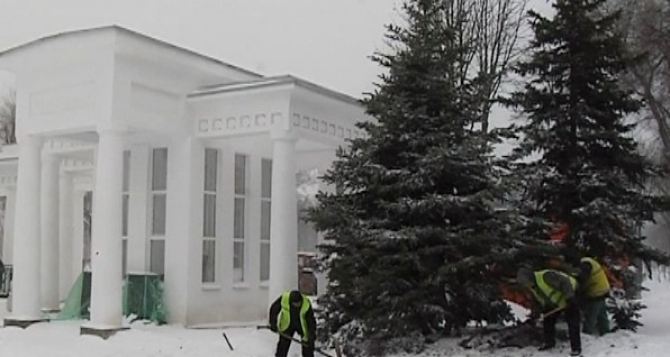 Коммунальщики продолжают высадку елей в Луганском парке Горького (видео)