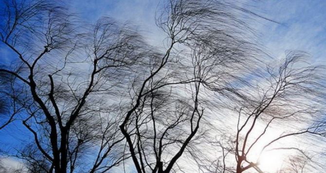 Синоптики предупреждают об усилении ветра 28 февраля в Луганске