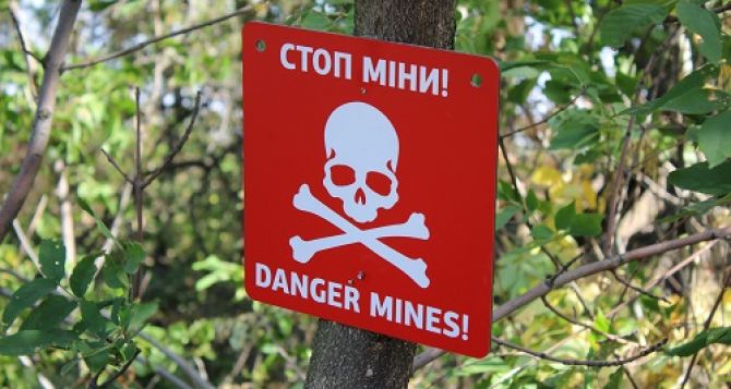 В Луганске ряд лесополос посещать не рекомендуется. Шашлыки могут выйти боком