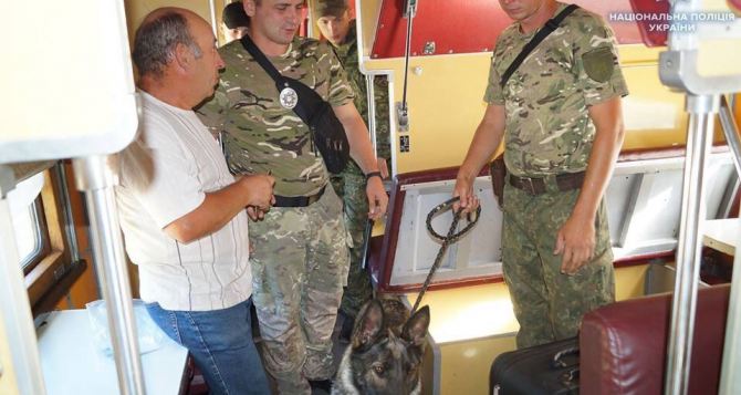 В Рубежном пассажир выбросил из поезда 27 гранат