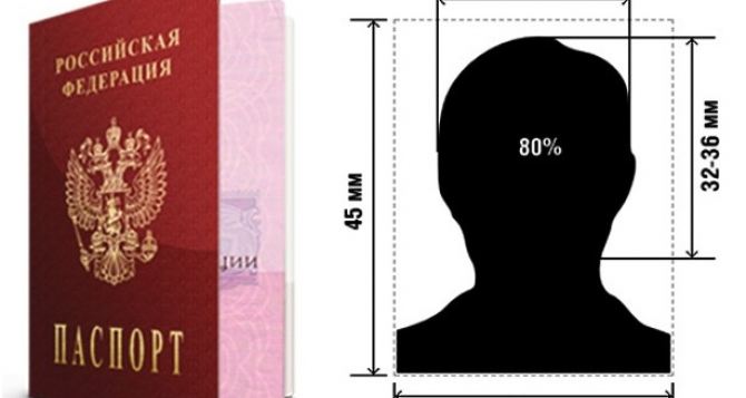МВД напоминает о требованиях к фото на документы для оформления гражданства РФ