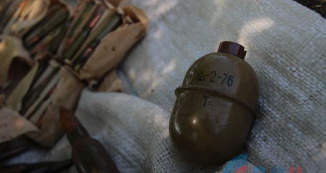 В Станице Луганской обнаружили гранаты и патроны. ФОТО