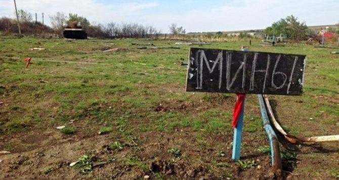 В Приветном Луганской области 69-летний мужчина наступил на мину, — ОБСЕ