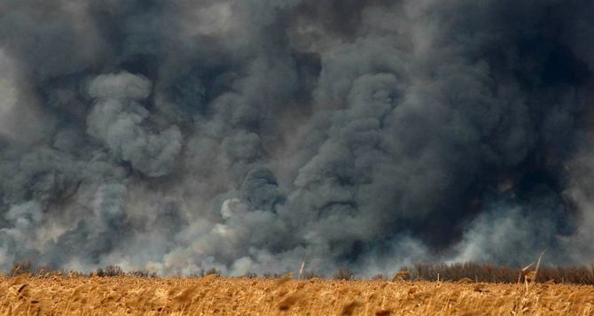 В Донецкой области выгорело 13 га пшеничного поля