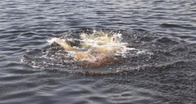 За прошедшие выходные в водоемах Луганщины утонули двое