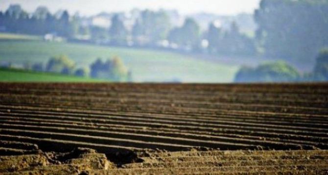 Фермерам Луганщины предлагают почти 3 тысячи га земли