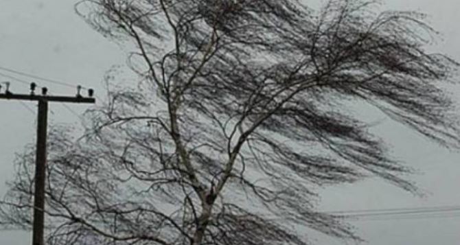 В Луганске усиление ветра до штормового