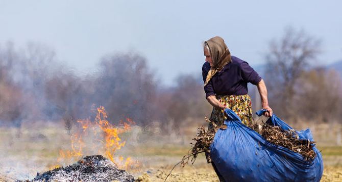 Луганчан оштрафовали на 19 тыс. рублей за сжигание сухой травы.