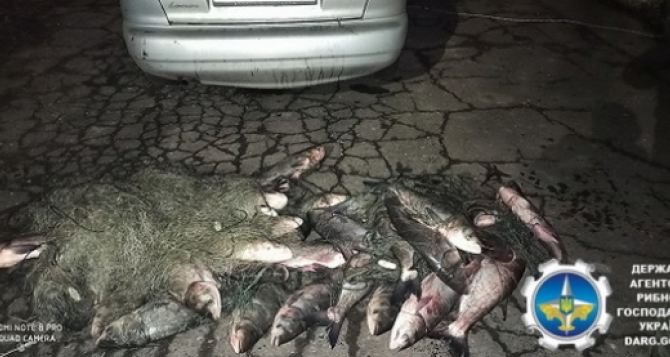 Возле Славянска задержали браконьеров с 300 кг рыбы