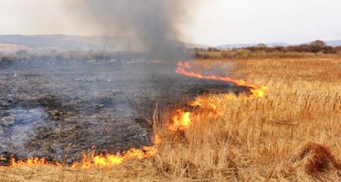 За сутки потушили 45 пожаров, в результате которых выгорело более 53 гектар сухой травы