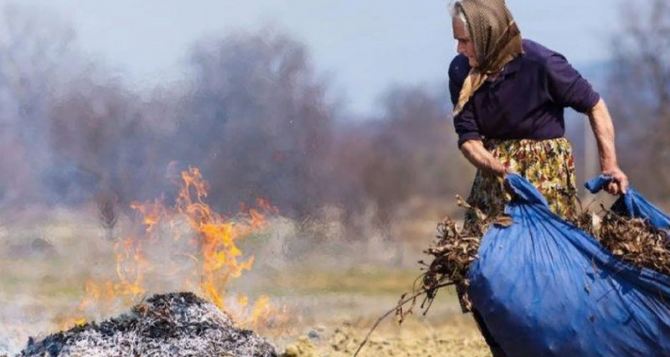 В Луганске запретили сжигать сухую траву и мусор на территории города
