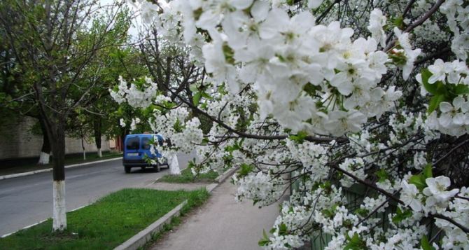 Прогноз погоды в Луганске на 8 апреля