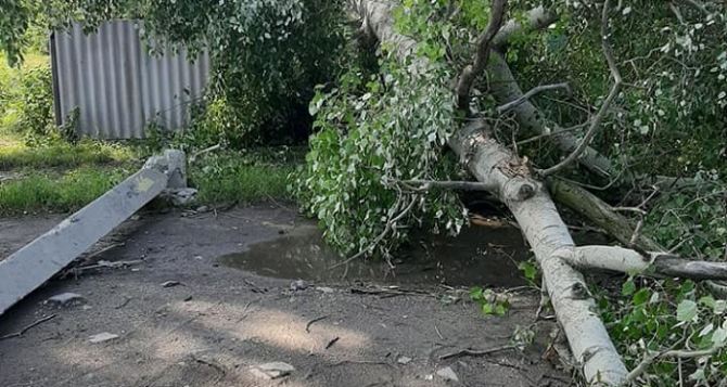 Ураган в Сватово вырвал деревья и повалил столбы