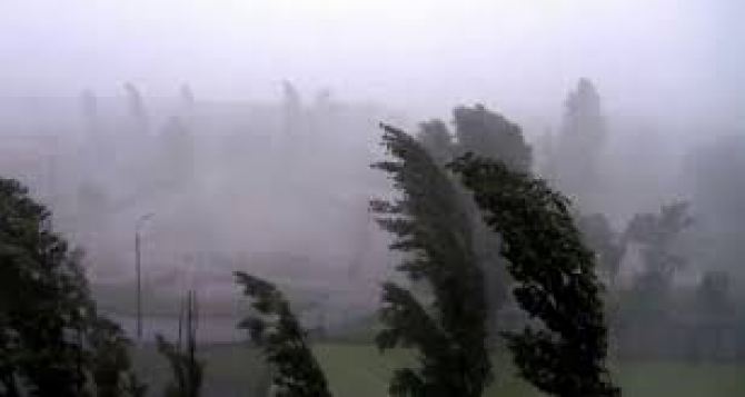 В Луганске объявили штормовое предупреждение: усиление ветра и гроза