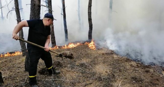 По состоянию на 7 утра 9 июля еще горят участки трех лесничеств в Новоайдарском районе