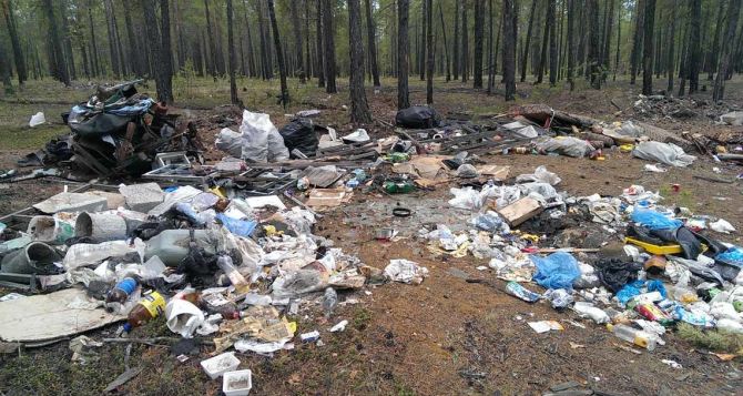 В Луганске за незаконный выброс мусора будут конфисковывать автомобиль