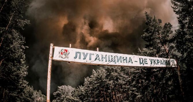 Космический масштаб. Опубликованы спутниковые снимки лесных пожаров на Луганщине, которые продолжаются с 6 июля