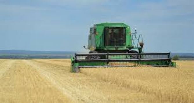 Аграрии Луганска собрали урожай озимой пшеницы на 90% площадей