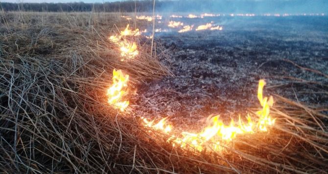 За сутки пожары уничтожили 70 га сухой травы