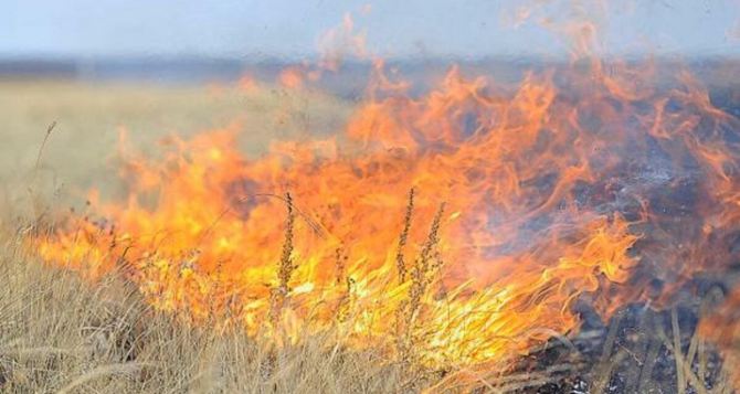 Под Славяносербском масштабный степной пожар на 300 гектарах