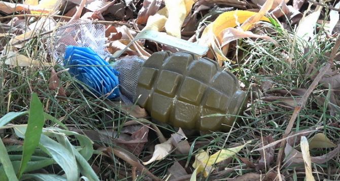 Ручную гранату Ф-1 нашли в Луганске недалеко от Ленинской налоговой