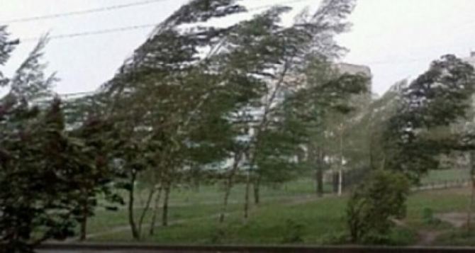 В Луганске объявили штормовое предупреждение: усиление ветра до шквалистого