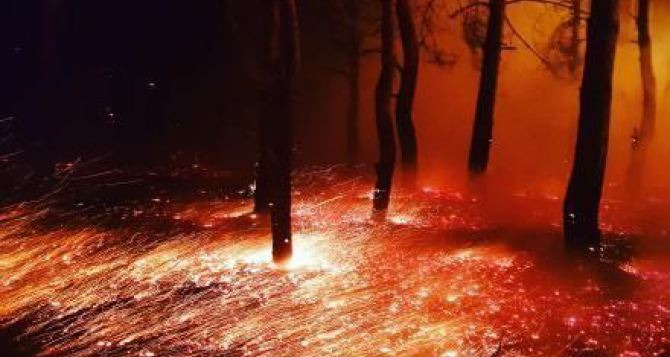В Луганской области в огне 11 поселков. Четыре человека погибли, десятки домов и зданий сгорели