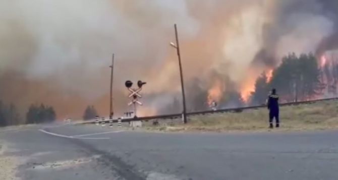 Ситуация с пожарами в Луганской области остается тяжелой. Продолжается тушение 7 основных участков