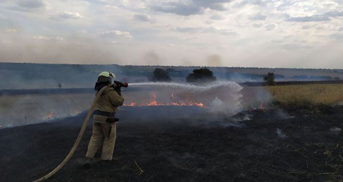 Все пожары в Луганской области ликвидированы