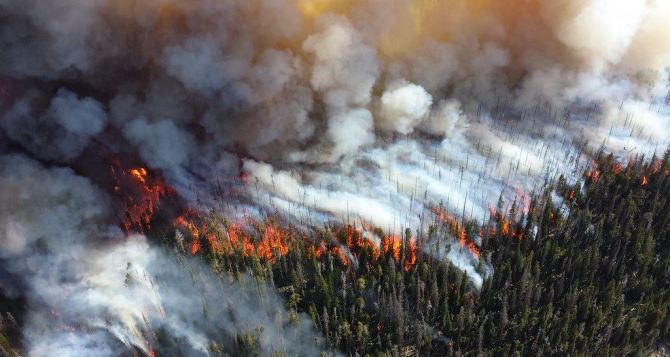 Ущерб от пожаров на Луганщине исчисляется миллиардами гривен, — министр экологии
