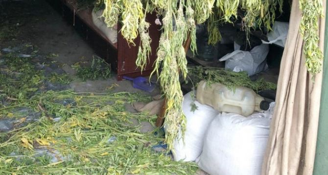 Житель Луганской области хранил в гараже 10 кг наркотических веществ. ФОТО