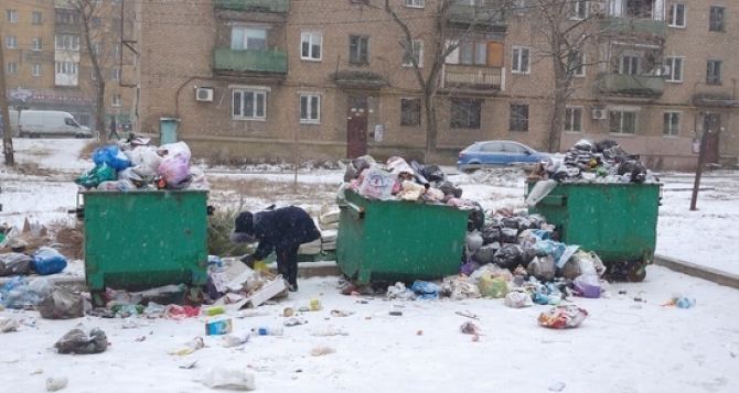 Мусорные баки переполнены: кто виноват в свалках на улицах Луганска?