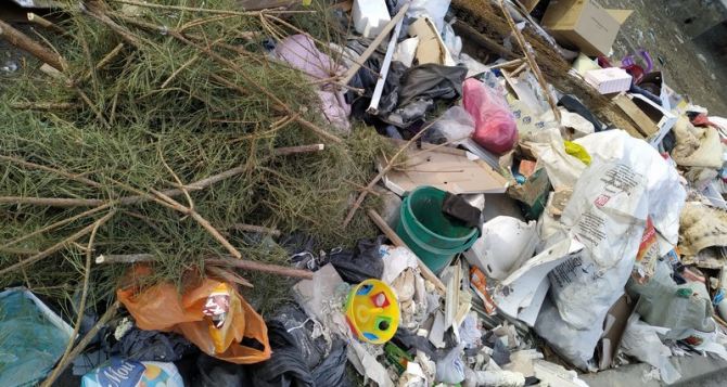 Серьезные штрафы и конфискация транспорта — как в Луганске будут наказывать за неправильно выброшенный мусор